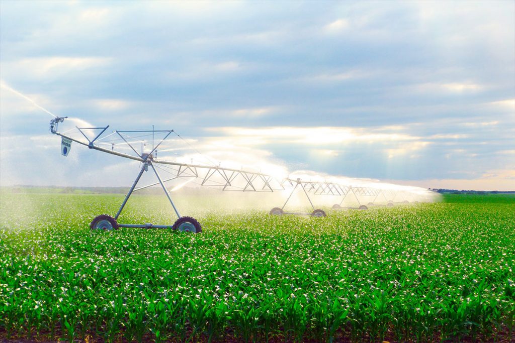 head_agri2